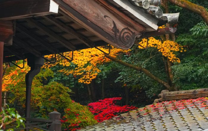 Article Image for A Guide to Japanese Ryokans