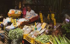 Article Image for A Traveler's Guide to Local Markets