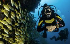 Article Image for Best Travel Diving Locations in the World