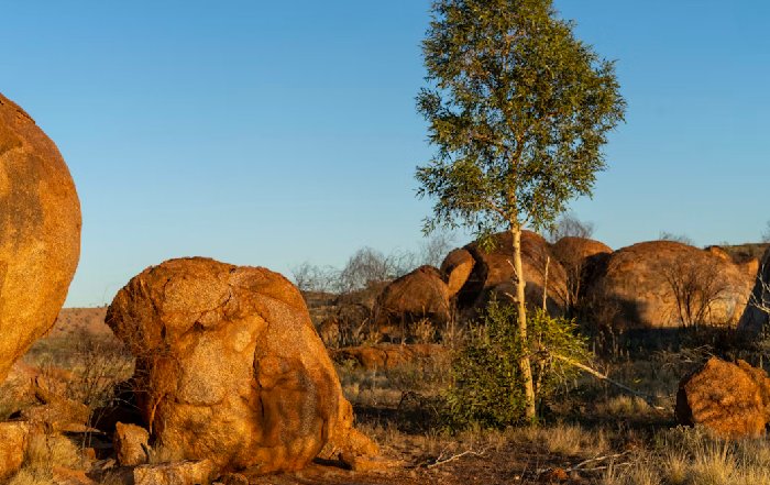 Article Image for Exploring the Outback Responsibly