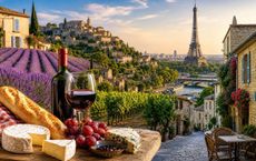 Article Image for France Travel Guide to Food, Culture and Countryside