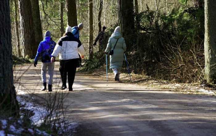Article Image for Health and Nature Tourism Trends in France