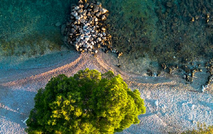 Article Image for Island Sustainability Challenges