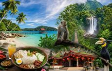 Article Image for Malaysia Travel Guide to Islands, Food and Rainforest Escapes