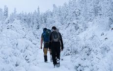 Article Image for Seasonal Travel for the Best Experience