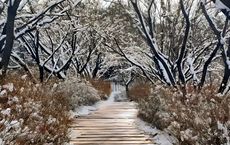 The Future of Sustainable Travel Trends