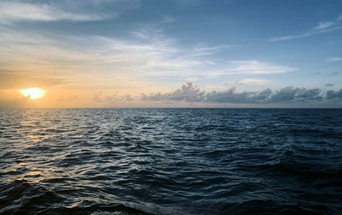 Article Image for The Impact of Climate Change on the World's Oceans