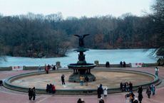 Article Image for The Resurgence of Domestic Tourism